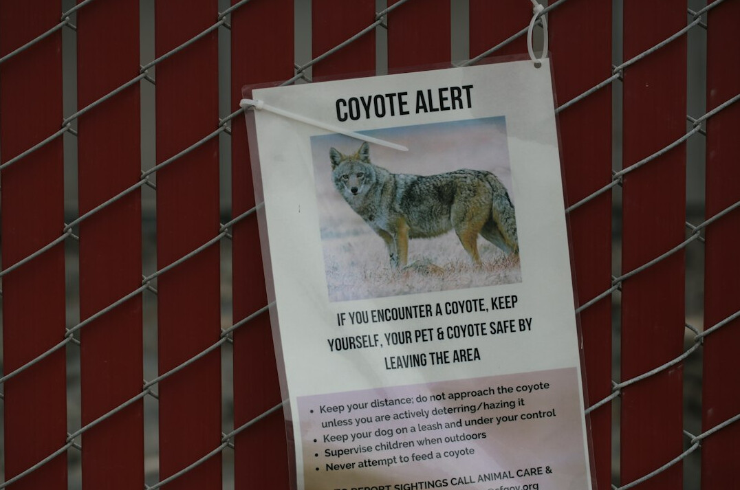 community awareness